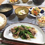 つかぬまの休息…高級チップ