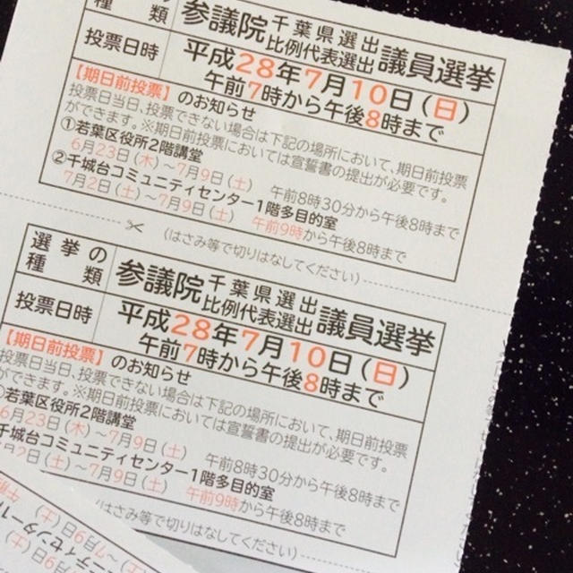 選挙に行ってきました