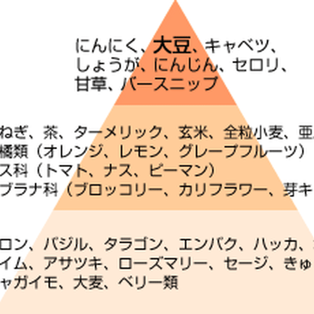 ソーセージ入り大豆煮込み