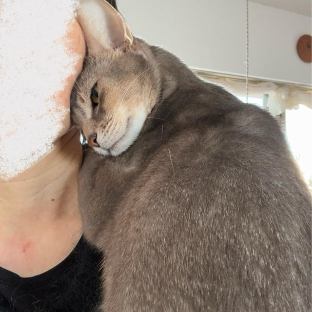 ぼくちんがくっついて離れないので、何もできん(*´ω`*)