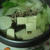 湯豆腐