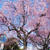 4月の寺子屋開講日