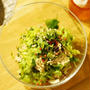 こもてなし：夏野菜の揚げびたしとアジアンサラダ