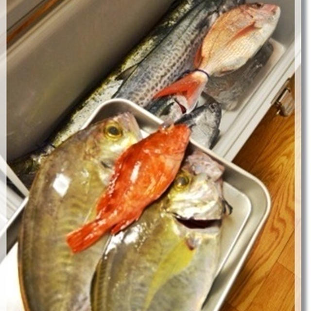 旦那様の釣果【07.24】と最近のおうち御飯