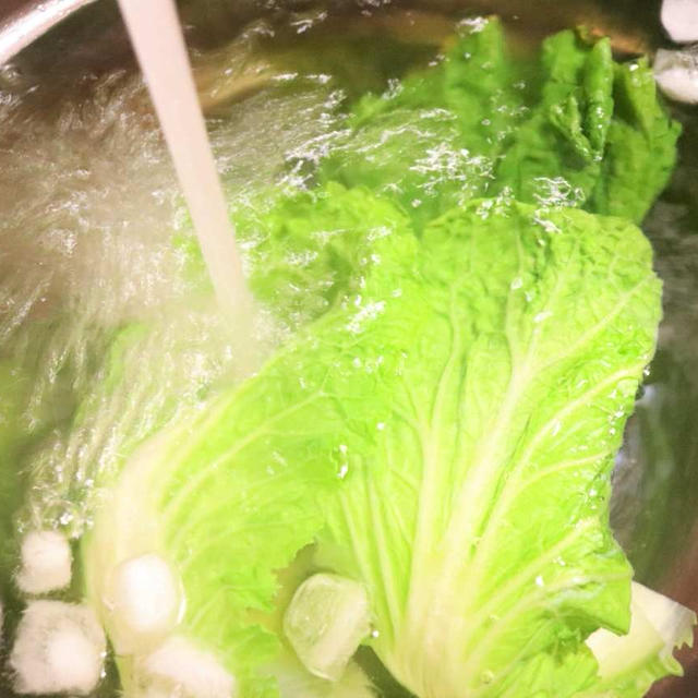 白菜の塩ゆで