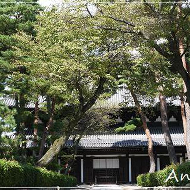 ☆2012 初秋の京都⑤：相国寺☆