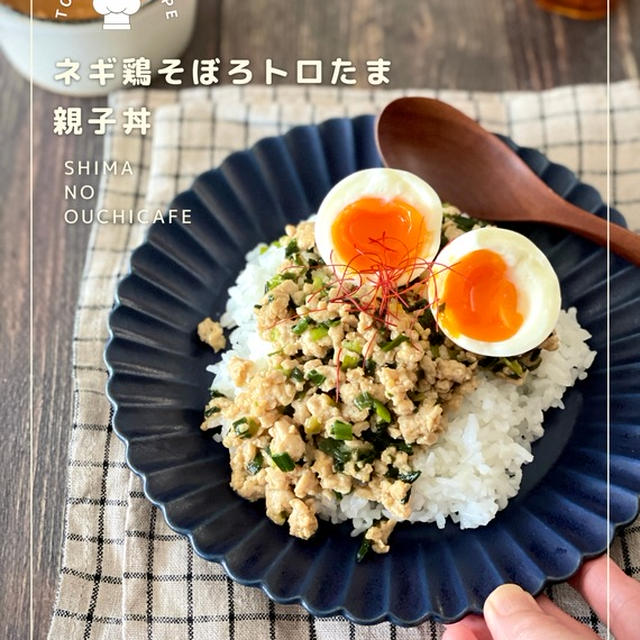 ネギの香味と旨味が絡んだ甘辛鶏そぼろととろ〜り半熟卵で変わり親子丼っ！