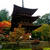 季節の一枚・紅葉の季節