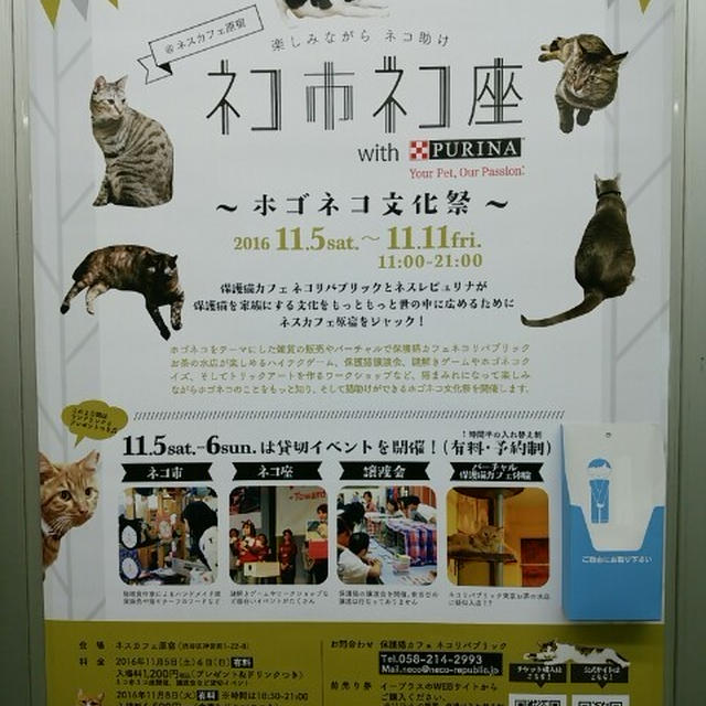 2016.11.5～11.11 ネコ市ネコ座 ～ホゴネコ文化祭～ @ネスカフェ原宿