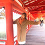 厳島神社に合格祈願しに行きました〜！