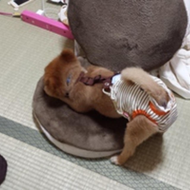 入りたいけど、入れない