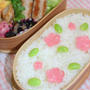 普通弁**春色弁当