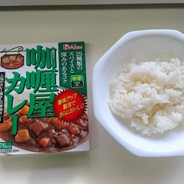 酢飯のシャリカレー
