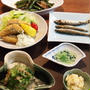 お魚で4種