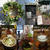 HotYogaFusion・irie+ garden&cafe・～鶏の五香粉揚げ・アイスの天ぷら