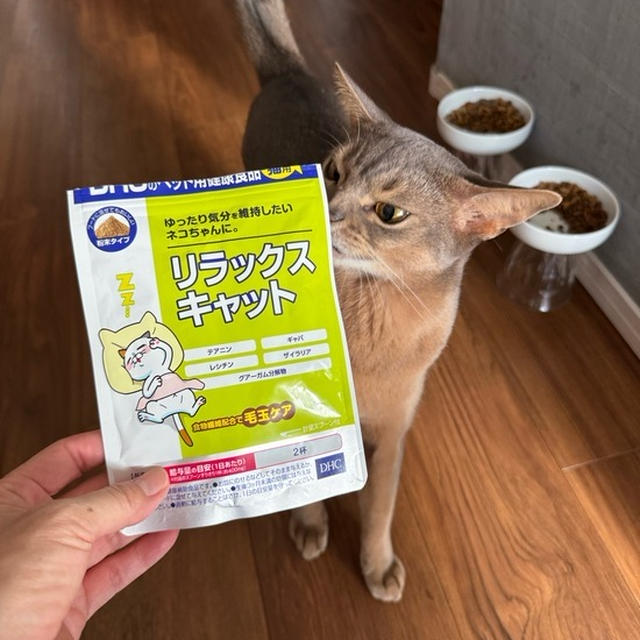 ねこたちのリラックスサプリと、楽天SSラスト