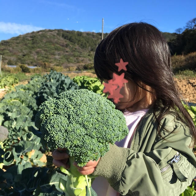 【ブロッコリー】食べて風邪予防！ブロッコリーと干しエビの卵炒め