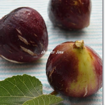 晩夏の味覚　無花果のタルト