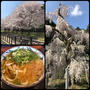 奈良県室生の大野寺まで桜見物に