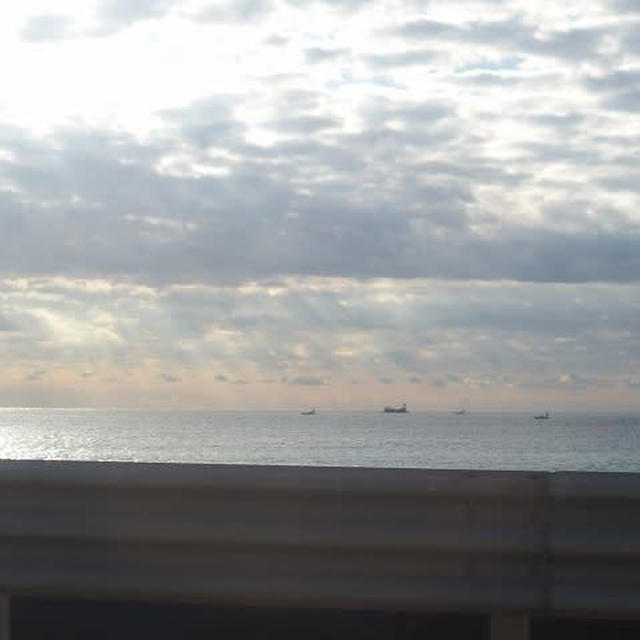 朝の海
