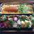 お弁当（人参ピラフ）