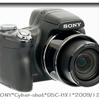 ✿SONY♥Cyber-shot♥サイバーショットDSC-HX1✿