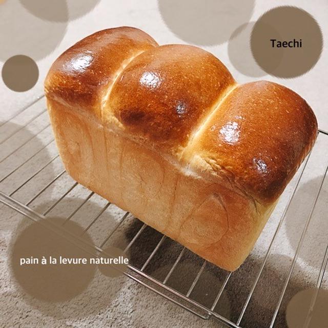レーズン酵母山型食パンとパンクしないクリームコロッケ風