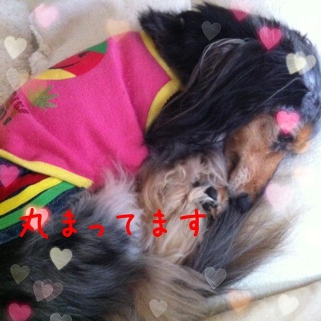 今日の1枚☆