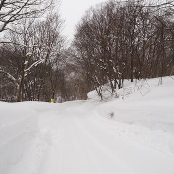 玄冬湯旅 ～しんしんと、いわての雪はこまやかに。3日目 ②～