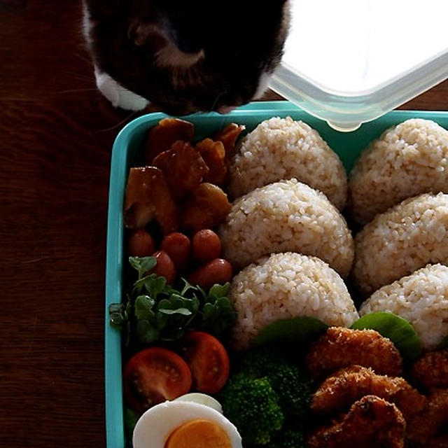 差し入れお弁当と姉が詰めてくれた相棒殿のおべんと♪