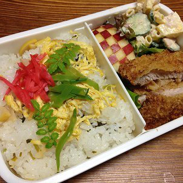 トンカツ弁当。首をかしげるきなこ