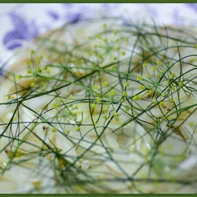 フェンネルのお花