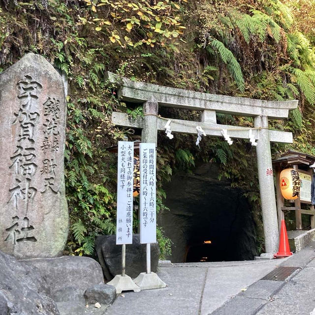 銭洗弁天参りと葉山お誕生日ランチと買い物ツアー