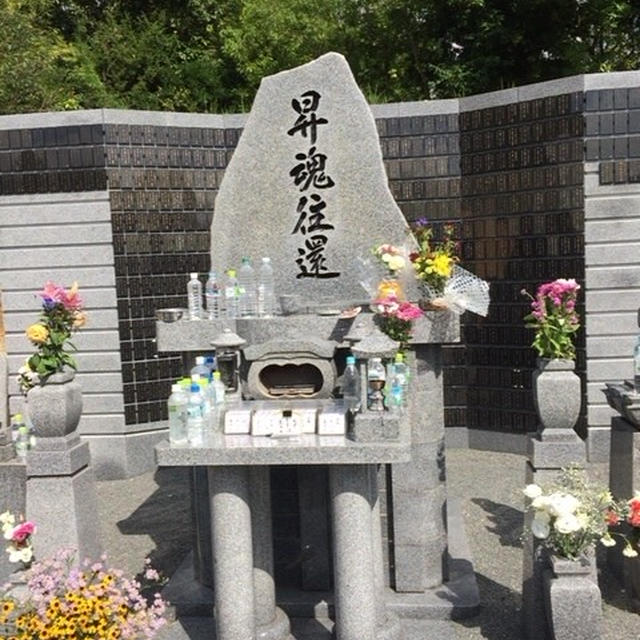 落ち着かない一週間でしたが‥‥