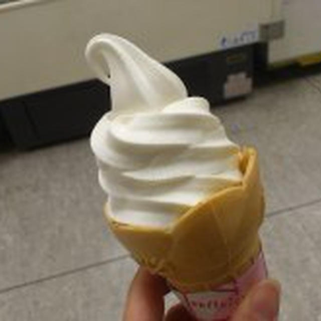 2/28　人生最高のソフトクリーム
