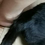 なぜか踏まれる