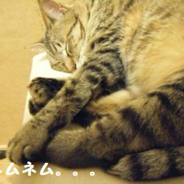 【記録】福島県民健康管理調査検討委員会の設置。