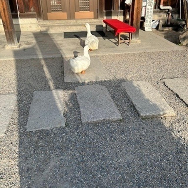 立夏ですねぇ。