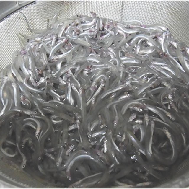 自家製イカナゴの釘煮♪秘密のレシピ