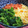 春の三色丼～菜の花入り～