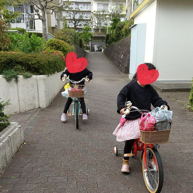 まん丸ちゃん チャリにハマる