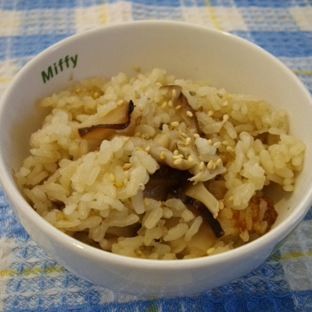 きのこのこ