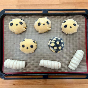 メロンパンダ〜自分で作ったパンでお弁当