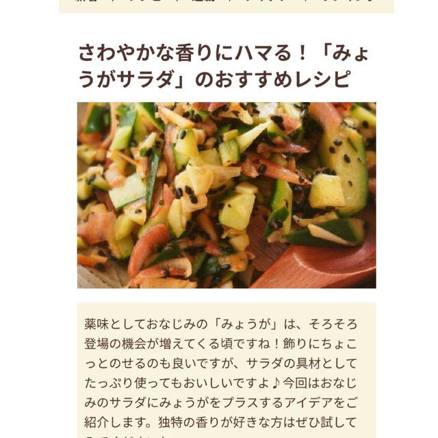 【ご報告】みょうがとしらすのポテトサラダがフーディストノート