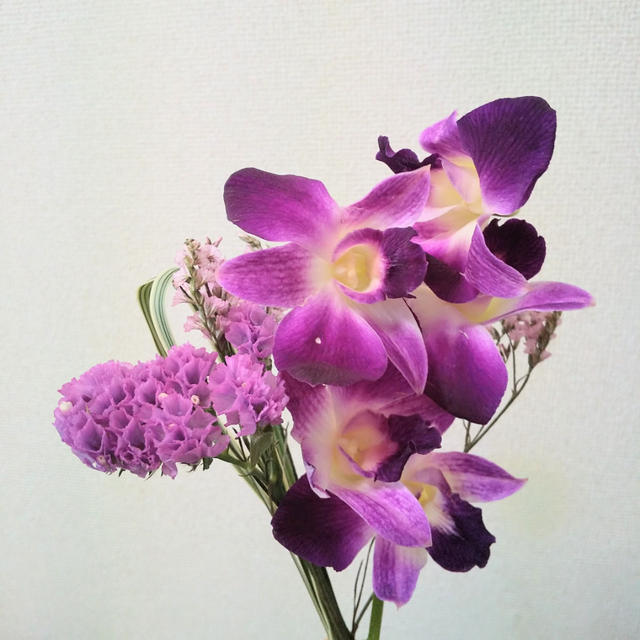 お花のある毎日☆ときめきが続く、お花の定期便bloomee(ブルーミー)
