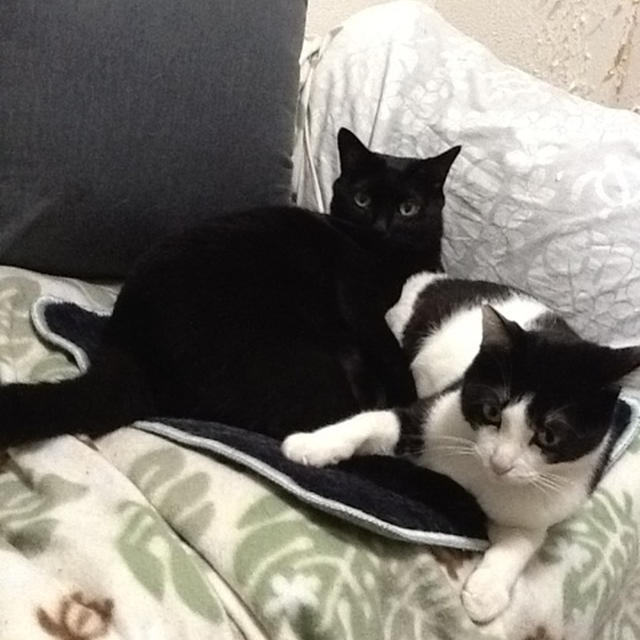 しまった