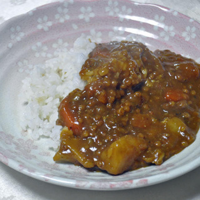 たかきびカレーと高野豆腐のフライ