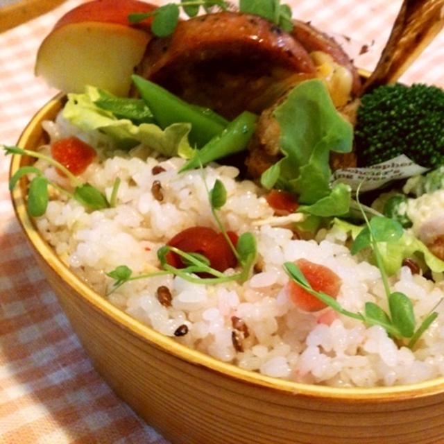 １１/１２　チーズonボロニアソーセージ弁当～♪