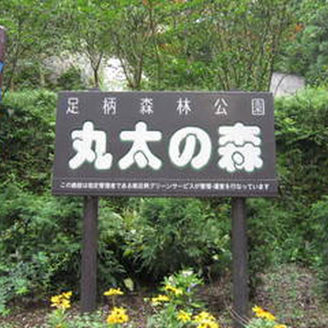 初キャンプ　足柄森林公園　丸太の森