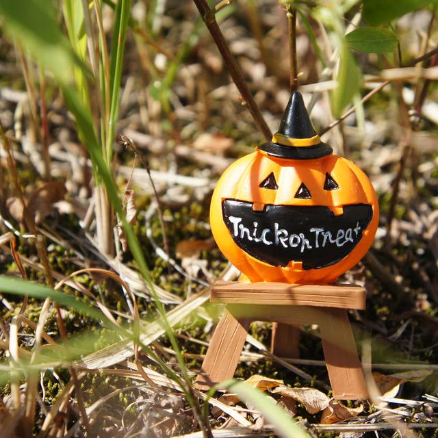 ハロウィーンに糖質オフパンプキンプリン(^^♪